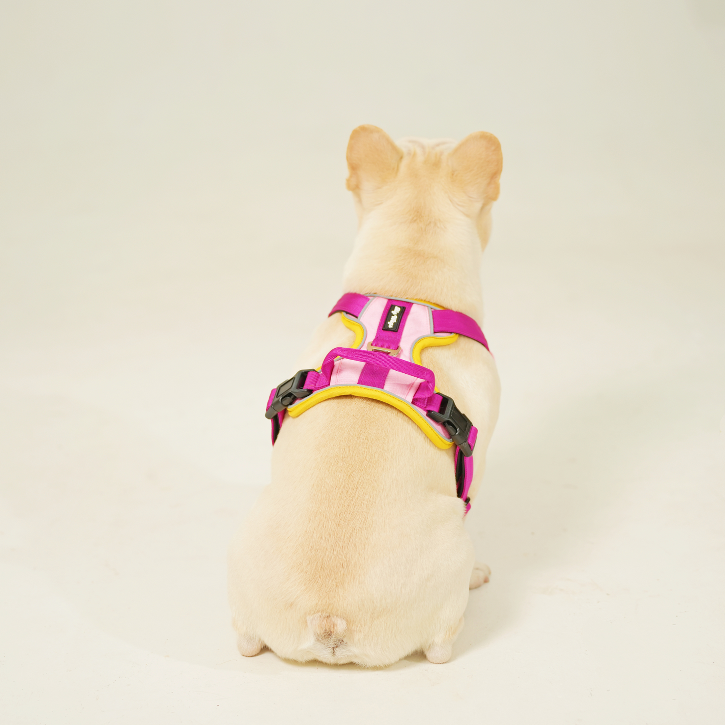 Everyday Buddy Harness - Pupcake Pink