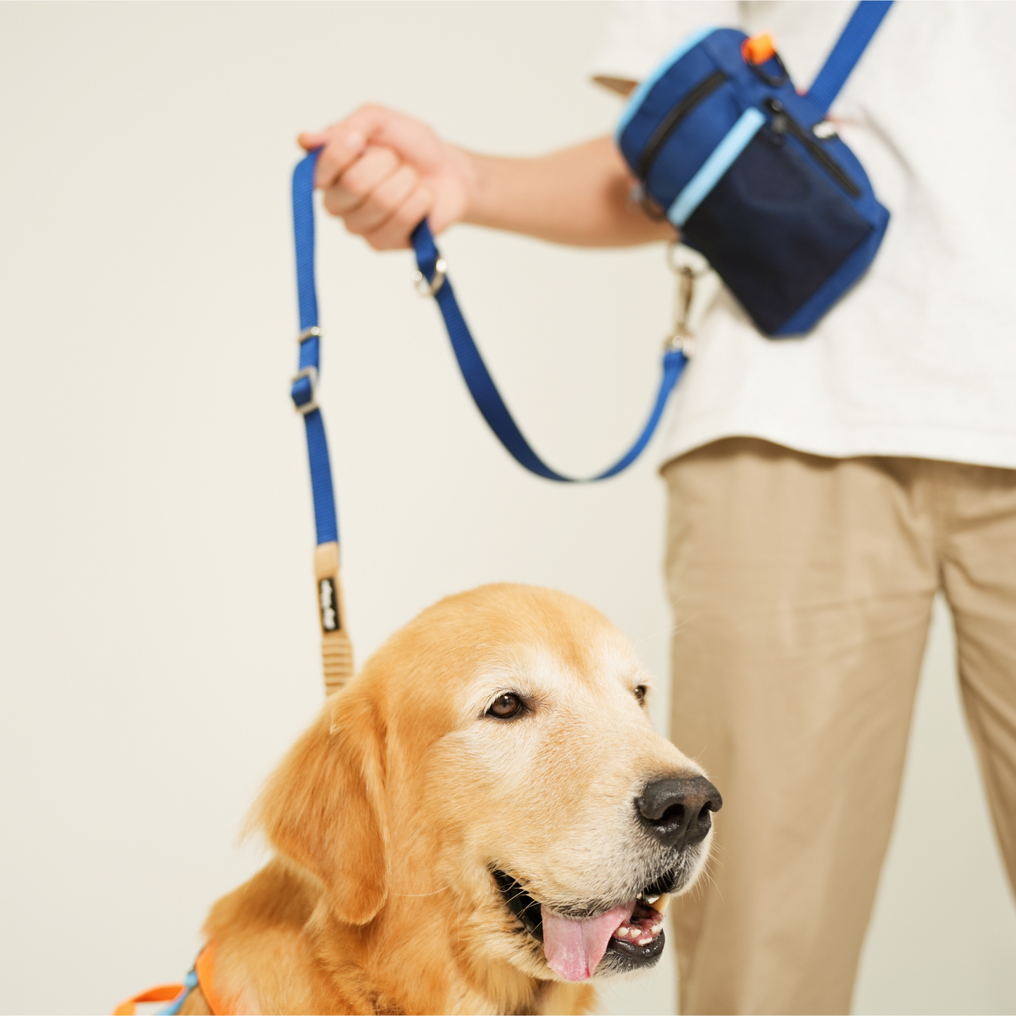 [PRE-ORDER] Everyday Buddy Hands-free Leash in Pawcific Blue
