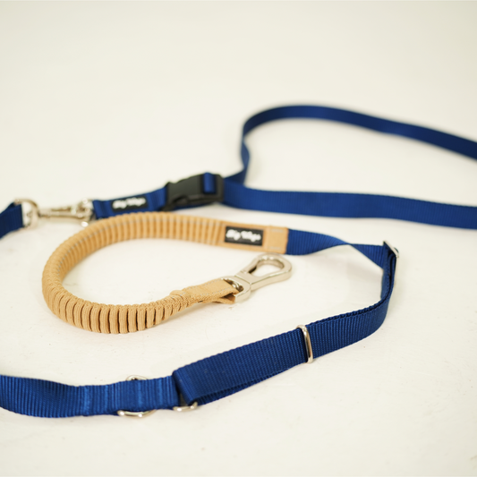 [PRE-ORDER] Everyday Buddy Hands-free Leash in Pawcific Blue
