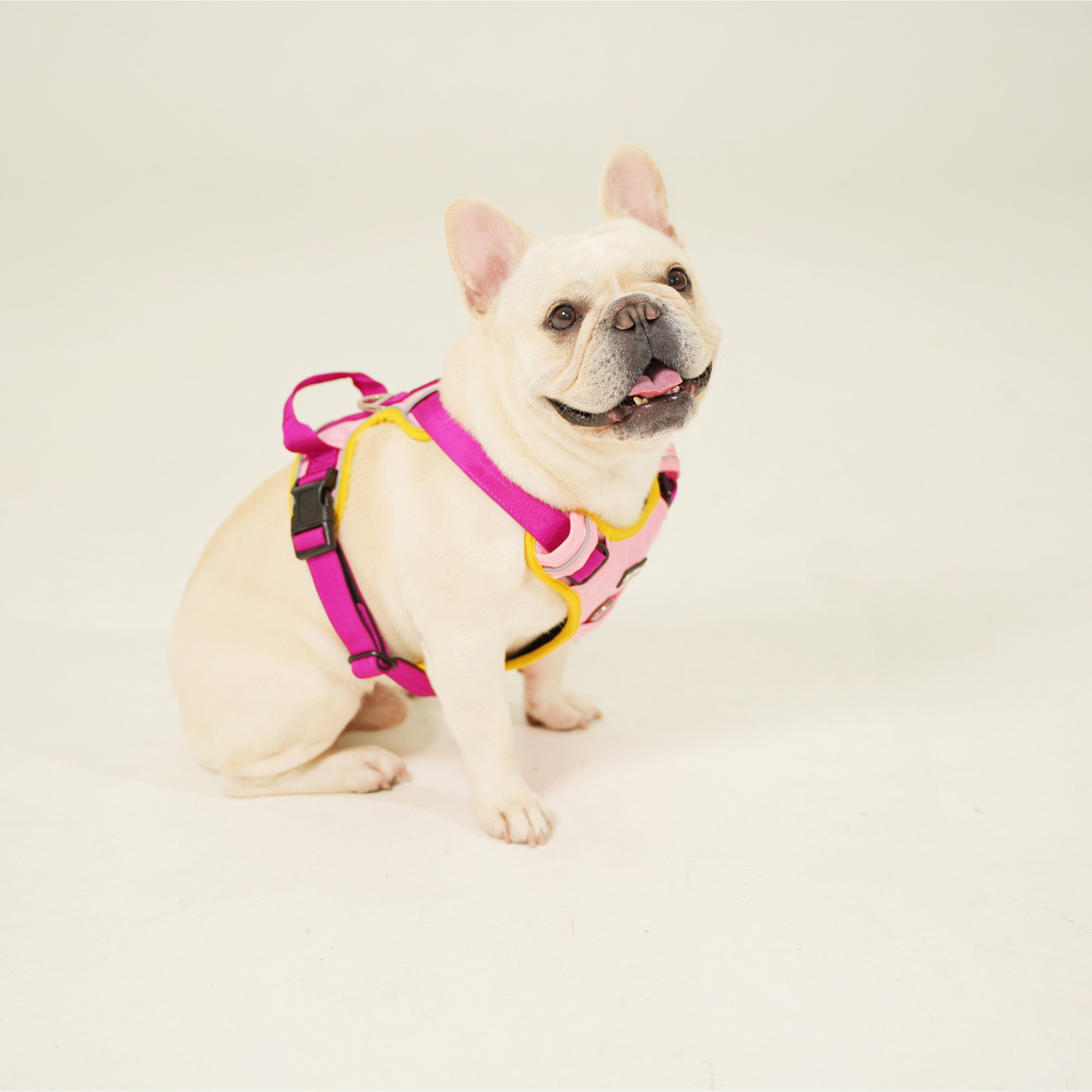 Everyday Buddy Harness - Pupcake Pink