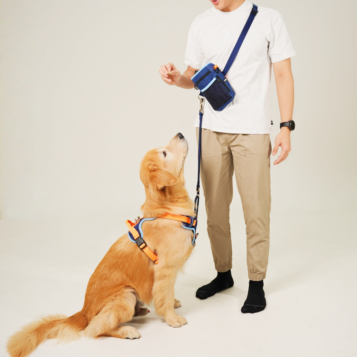 [PRE-ORDER] Everyday Buddy Hands-free Leash in Pawcific Blue
