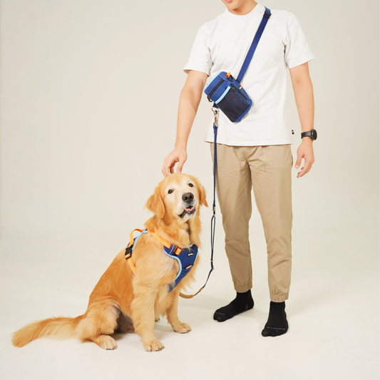 [PRE-ORDER] Everyday Buddy Set - Pawcific Blue