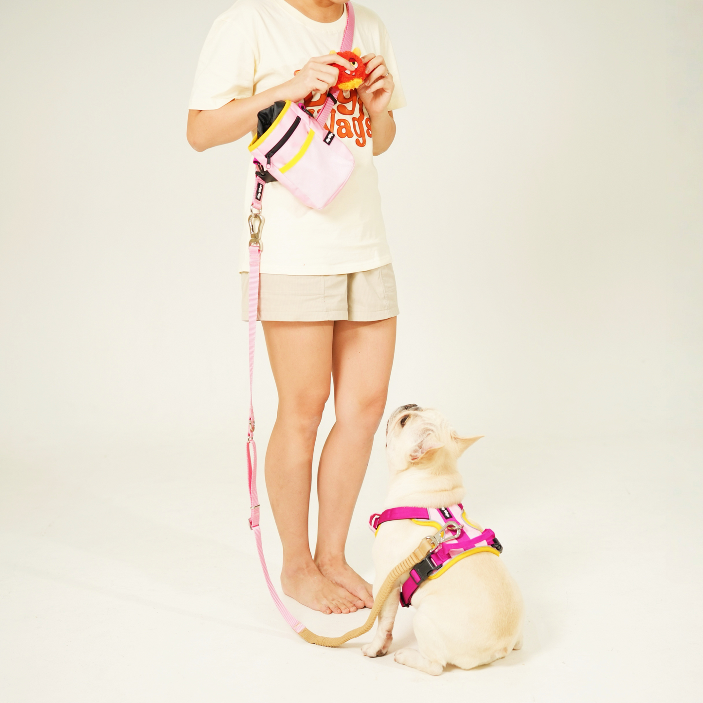 Big Wags Pink Bungee leash with body strap