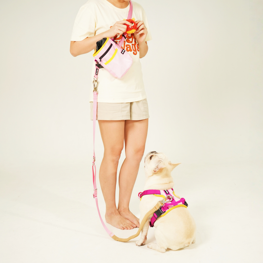 Big Wags Pink Bungee leash with body strap