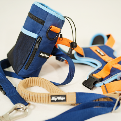 Big Wags Treat Pouch in blue and orange with sling and attachable leash