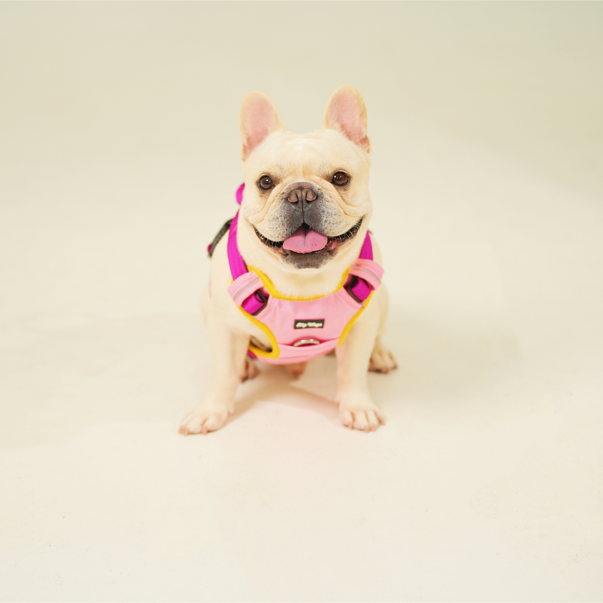 Pink Harness