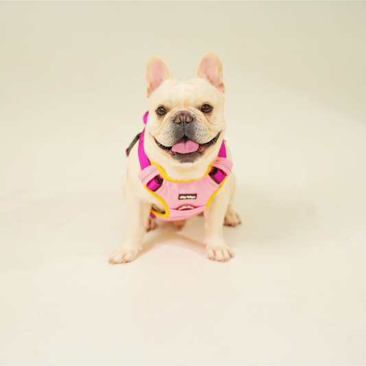 Pink Harness