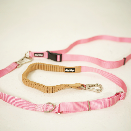 Pink Bungee leash