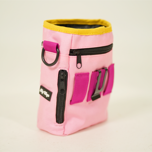 Treat Pouch in pink and yellow 